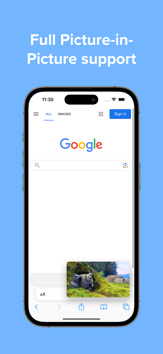 Video Player - PIP and more