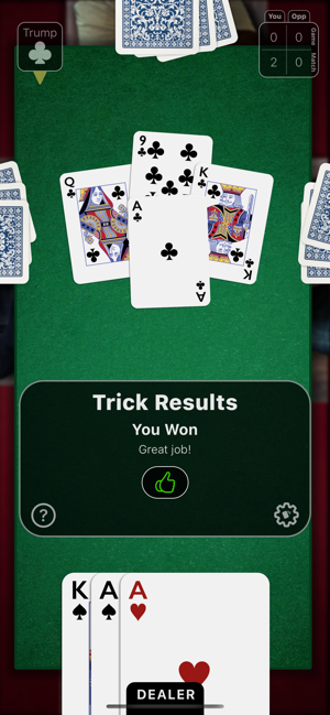 ‎Euchre Night Screenshot