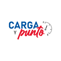 Carga Y Punto