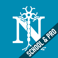 Dyslexia Test School and Pro