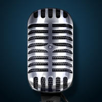 Pro Microphone Voice Record