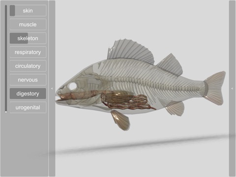 3D Fish Anatomyのおすすめ画像7