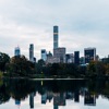 Birds of Central Park