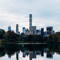 Birds of Central Park