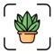 Plant Identification has never been so easy