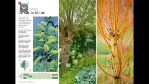 Détente Jardin Magazine screenshot 4