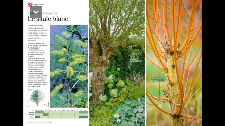 Détente Jardin Magazine screenshot-3