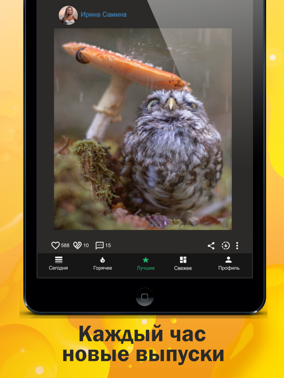 ГыГы Приколы: смешные видео iPad screenshot 4 - Entertainment app