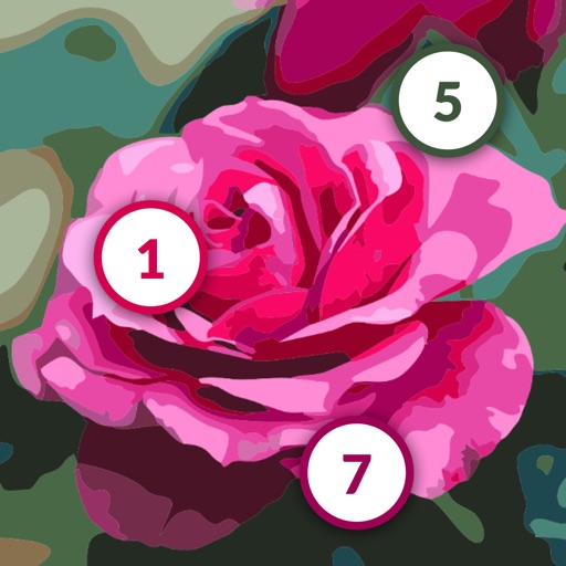 Painting & Color by Numbers iOS App