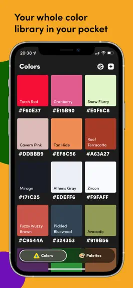 Game screenshot Litur - Color Picker apk