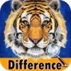 Animal Find The Difference icon