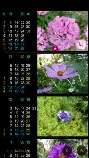 only for women - calendar w iphone resimleri 4