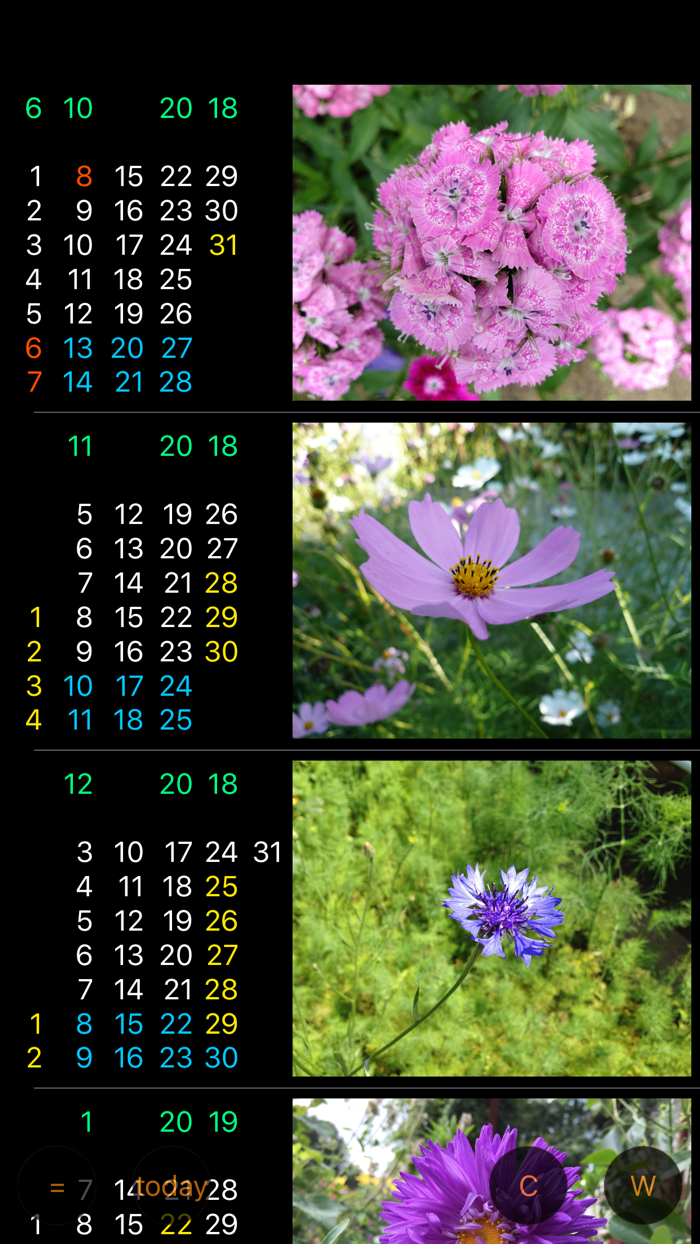 Only For Women - Calendar W