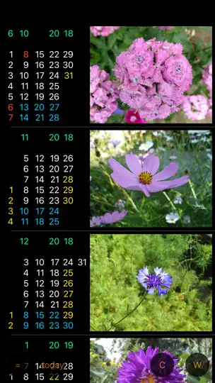 Скриншот Только для женщин - Calendar W на iPhone 4