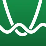 Desmos Graphing Calculator App Positive Reviews