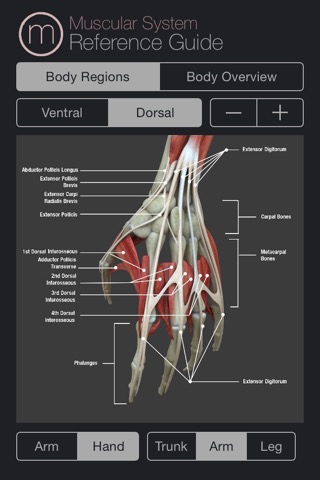 Human Muscular System Guideのおすすめ画像3
