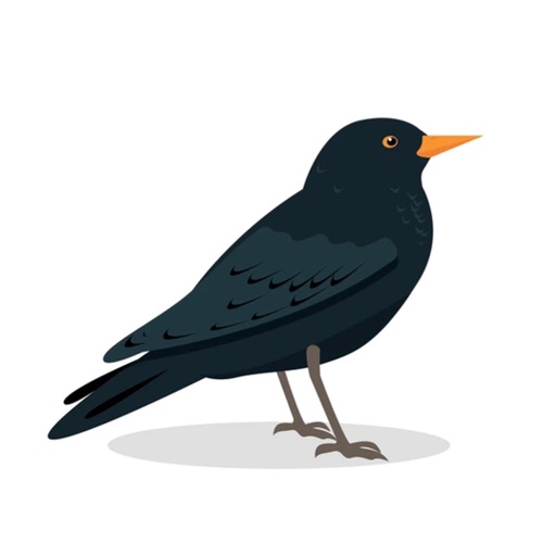 Blackbird Stickers