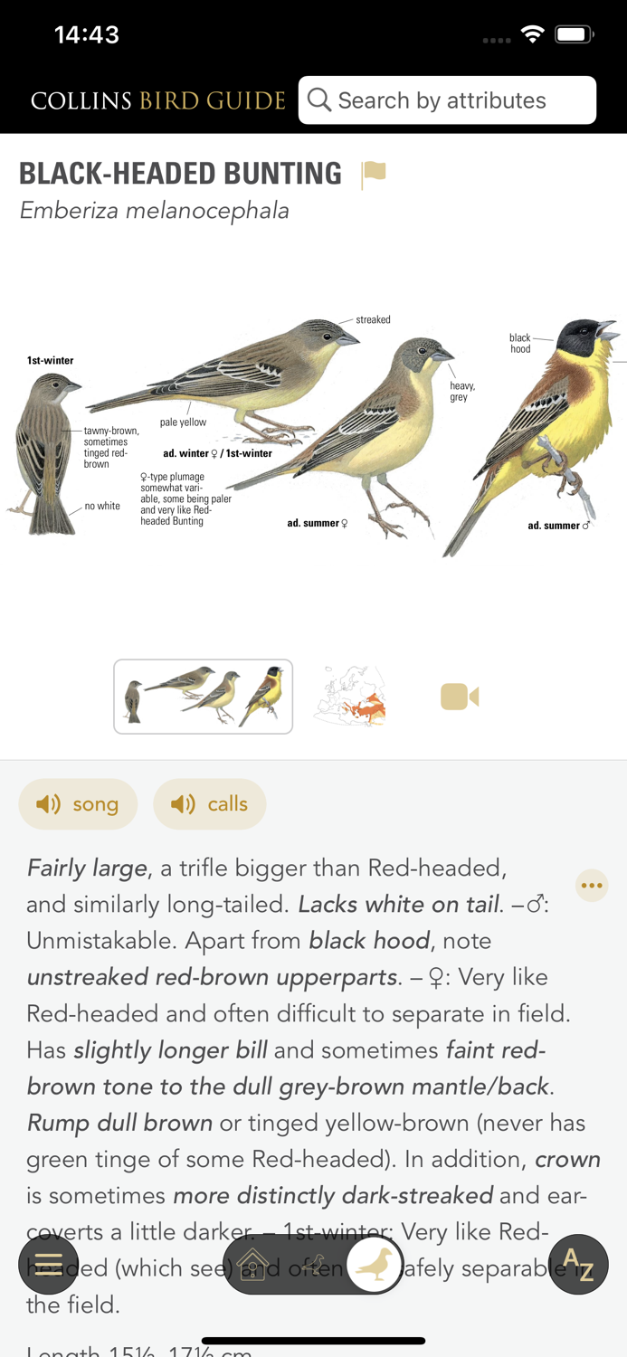 Collins Bird Guide