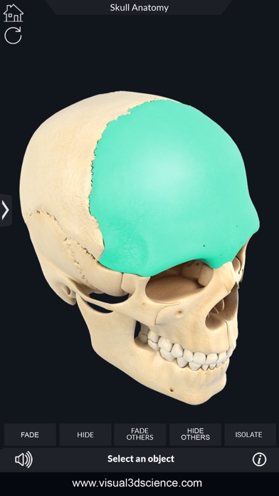 My Skull Anatomyのおすすめ画像2