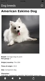 Breeds of Dogs iphone bilder 3