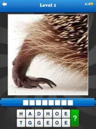 Guess the Close Up - Pics Quiz ipad bilder 1