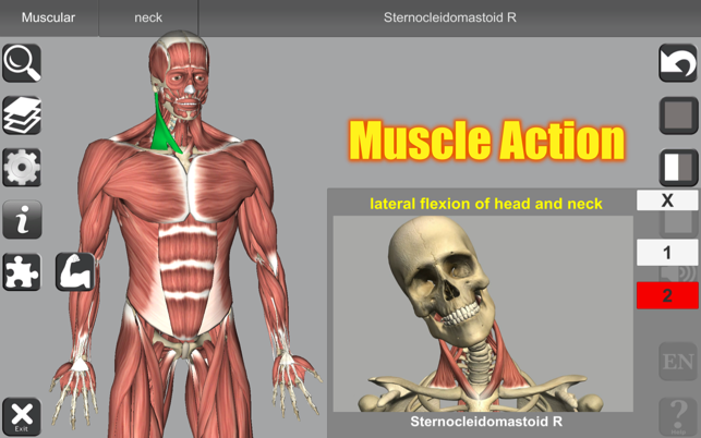 Snímek obrazovky 3D anatomie