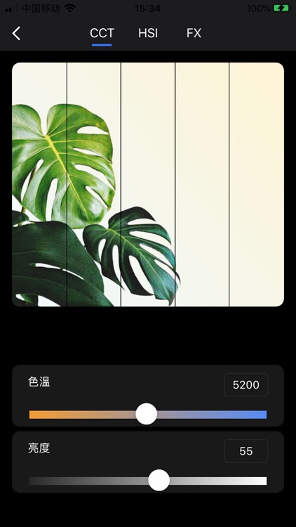 彩光灯-蓝牙灯控制