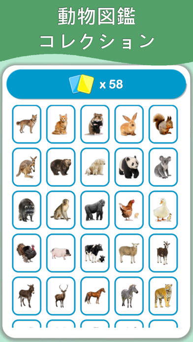 動物学習カード : 英語学習のおすすめ画像1