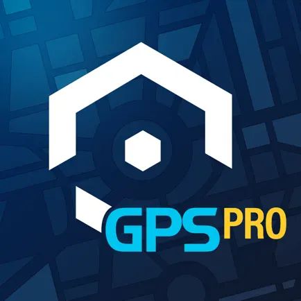 Amcrest GPS Pro Читы