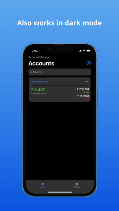 Account & Expense Manager Screenshot