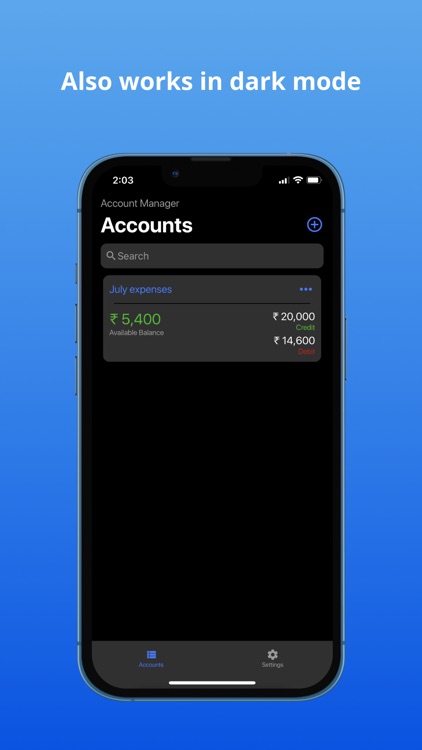Account & Expense Manager screenshot-8