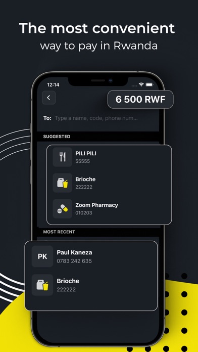 PressPay - Send Mobile Money Screenshot