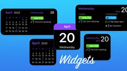 ulti-planner calendar & todo iphone screenshot 4