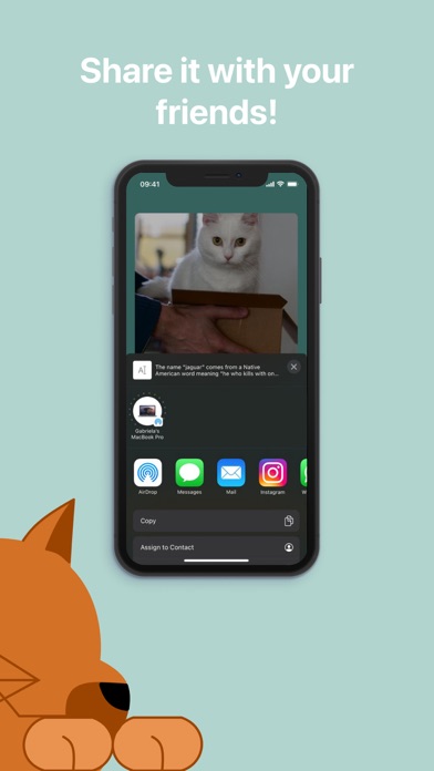 CatFacts: facts about cats Screenshot