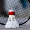 Badminton 2D icon