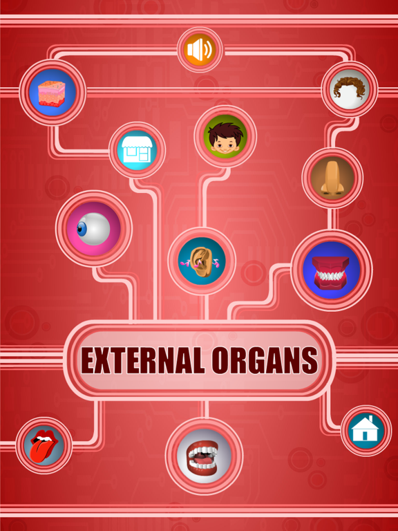 Screenshot #5 pour Human Body - External Organs