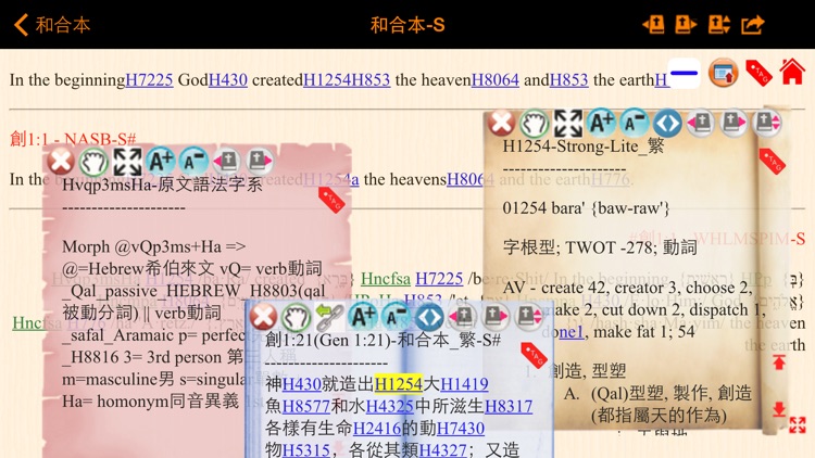 Handy Bible Chinese Pro 隨手讀聖經 screenshot-4