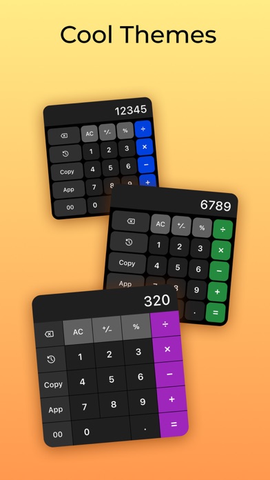 Calculator 17 - Math Solver Screenshot