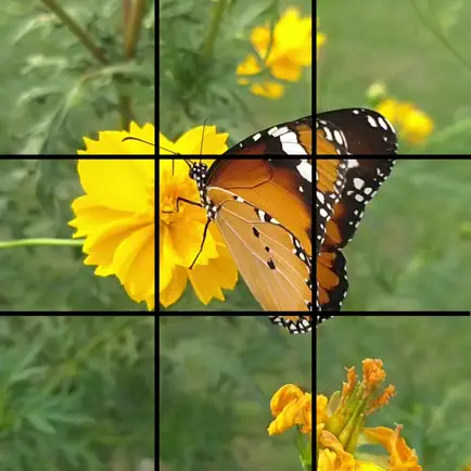 MoPic Puzzle Читы