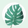 Icon Plant Identifier - PlantMe