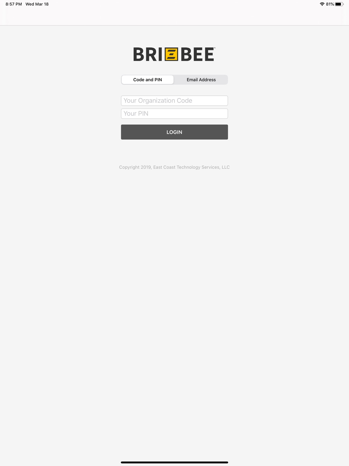 BRIZBEE Time Tracking ipad screenshot 1