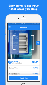 Express Checkout screenshot