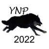 Yellowstone Wolves 2022 App Feedback