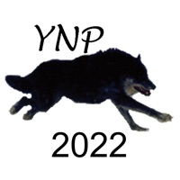 Yellowstone Wolves 2022 apk
