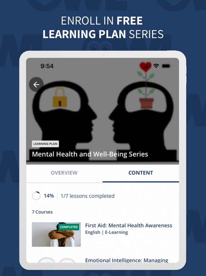 OWL - Open World Learning