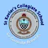 XaviersCCA problems & troubleshooting and solutions