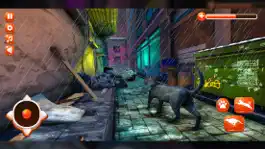 Game screenshot Lost Cat Life City Survival mod apk