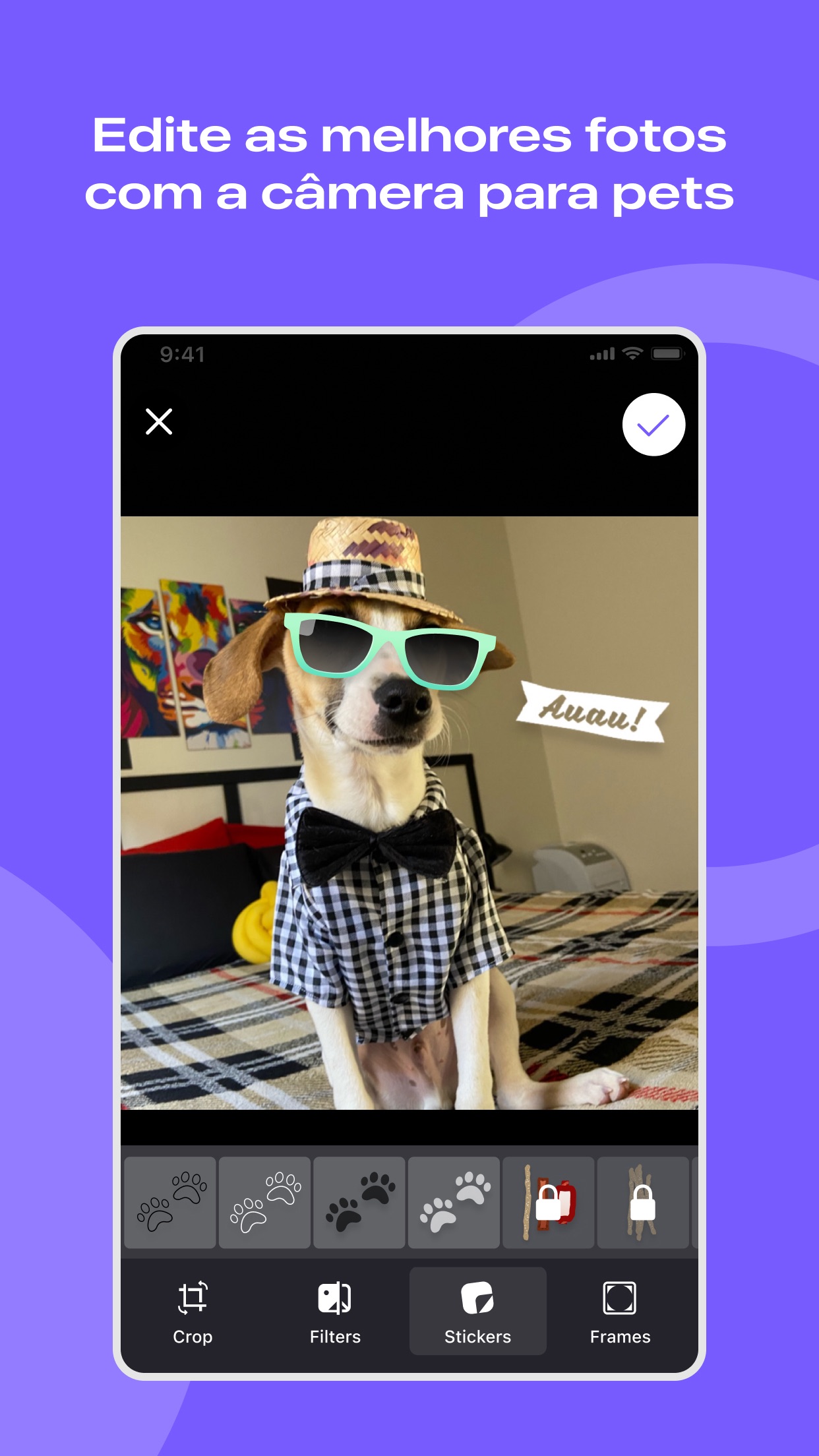 Screenshot do app Flockr - Pets com mais saúde