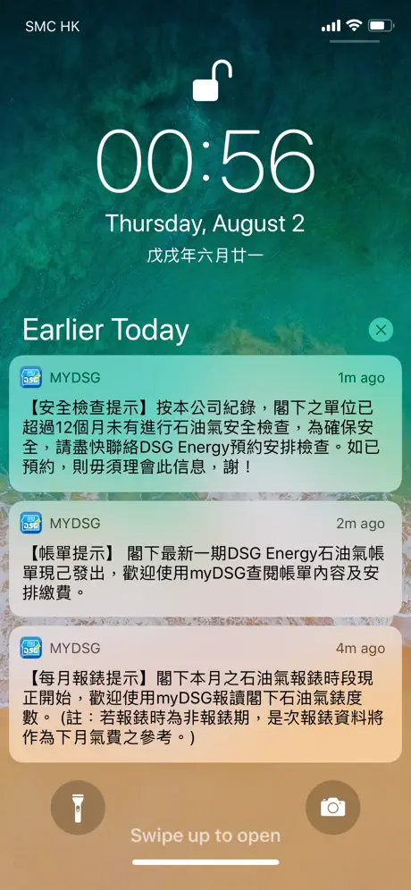 myDSG