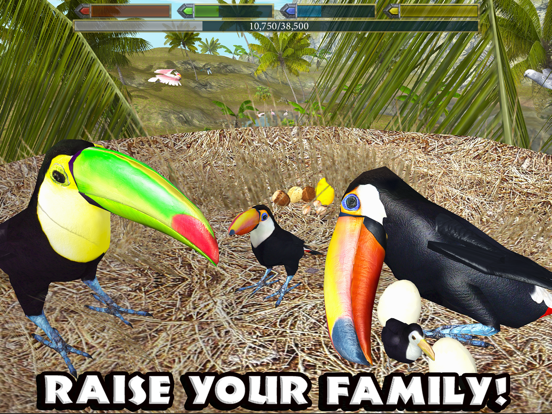 Ultimate Bird Simulator iPad app afbeelding 4